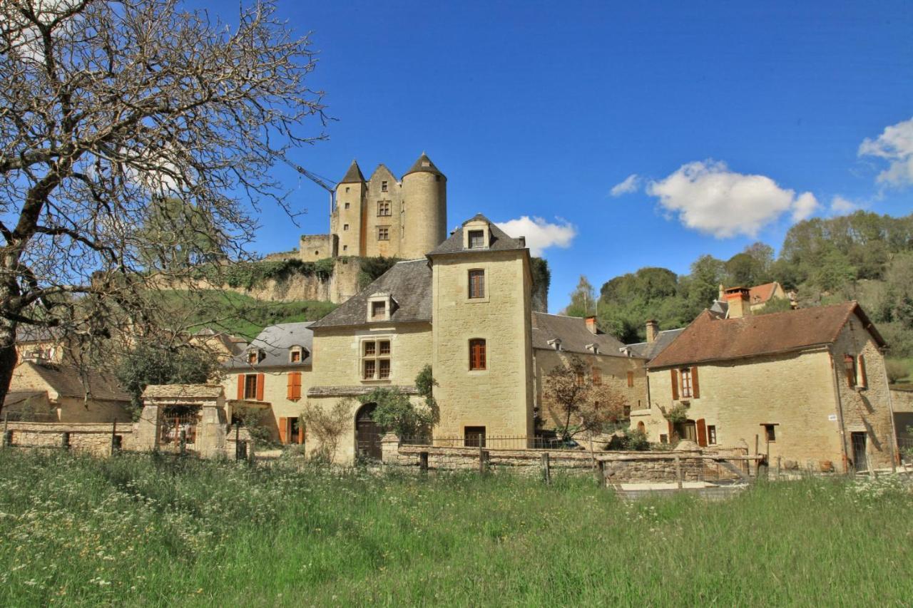 Petite Maison En Pierre Au Coeur Du Perigord Noir Salignac Eyvigues Bagian luar foto