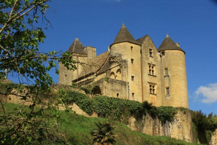 Petite Maison En Pierre Au Coeur Du Perigord Noir Salignac Eyvigues Bagian luar foto
