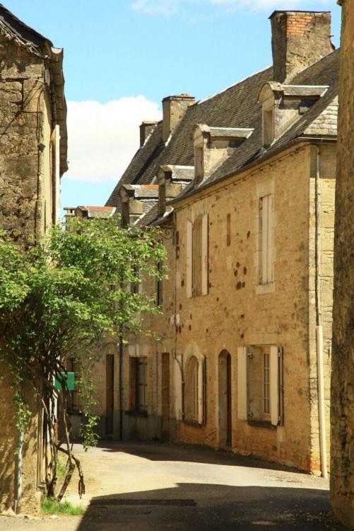 Petite Maison En Pierre Au Coeur Du Perigord Noir Salignac Eyvigues Bagian luar foto