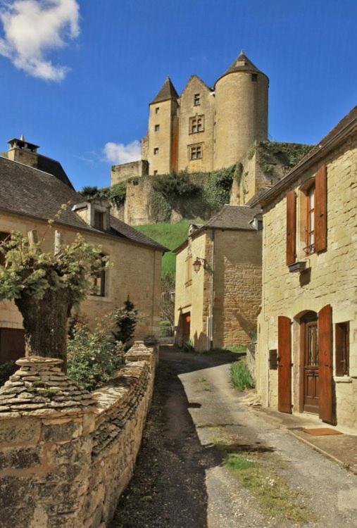 Petite Maison En Pierre Au Coeur Du Perigord Noir Salignac Eyvigues Bagian luar foto