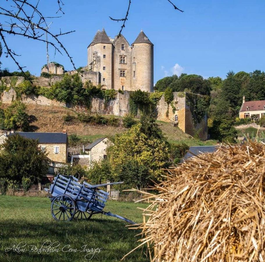 Petite Maison En Pierre Au Coeur Du Perigord Noir Salignac Eyvigues Bagian luar foto